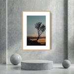 Buy photograph framed wall art painting online