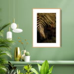 Buy photograph framed wall art painting online