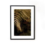 Buy photograph framed wall art painting online