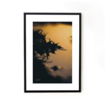 Buy photograph framed wall art painting online