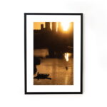 Buy photograph framed wall art painting online