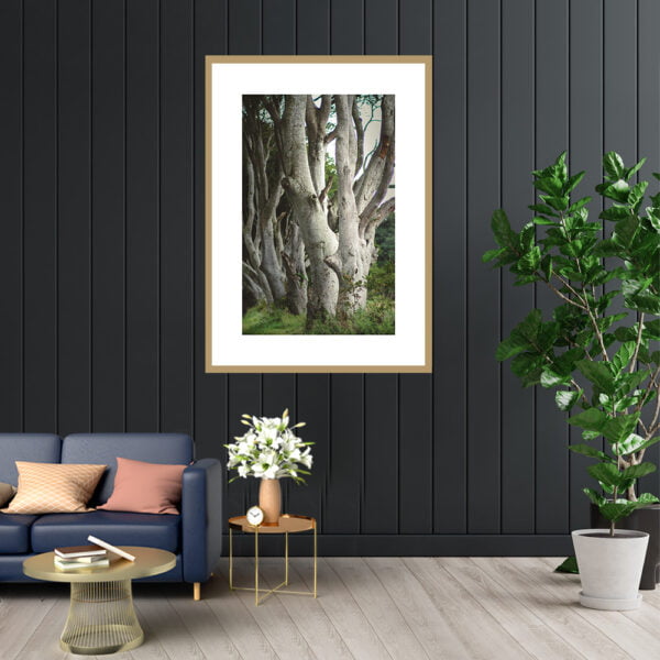 Buy photograph framed wall art painting online