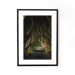 Buy photograph framed wall art painting online