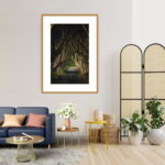 Buy photograph framed wall art painting online