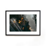 Buy photograph framed wall art painting online