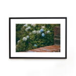 Buy photograph framed wall art painting online