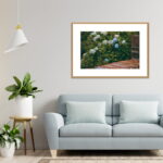 Buy photograph framed wall art painting online