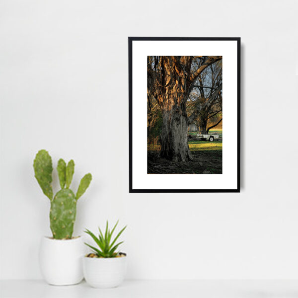 Buy photograph framed wall art painting online