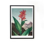 Buy wall art paintings online