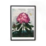 Buy wall art paintings online