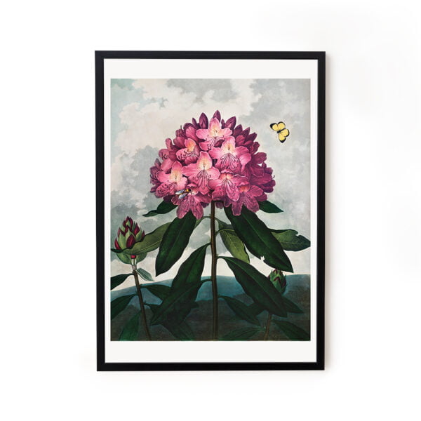 Buy wall art paintings online