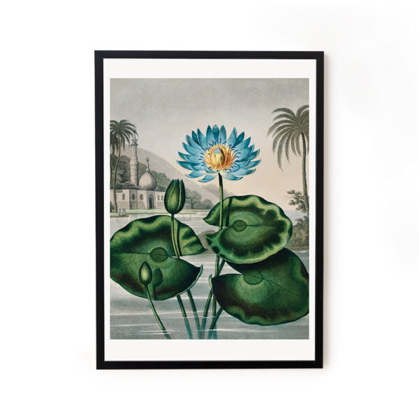 Buy wall art paintings online