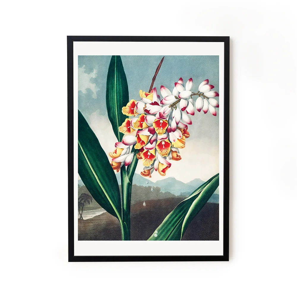 Buy framed painting online